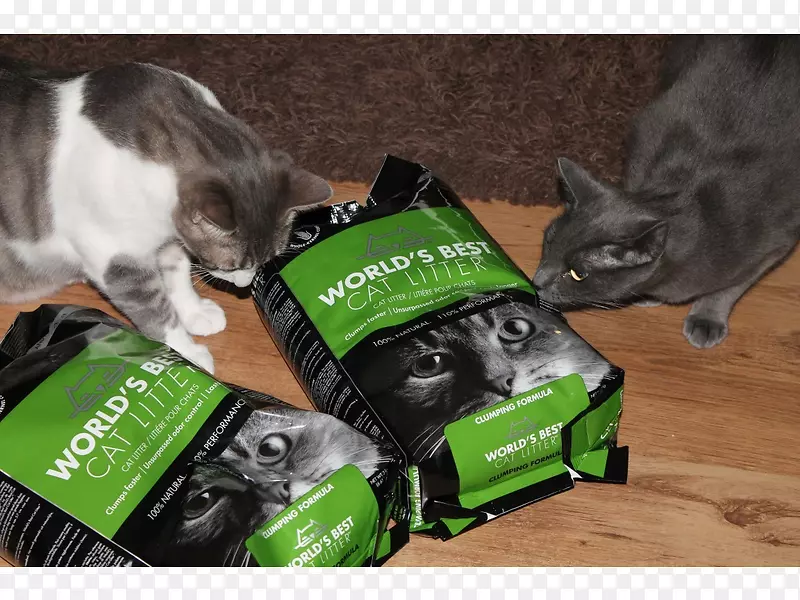 ����Ʒ�Ʊ���-����-������