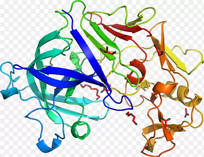 �ߵ�������������-������