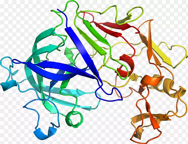 �ߵ������������-������