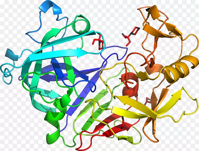 �ߵ������������-������