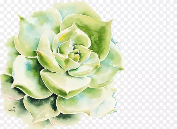 ������ֲ��ˮ�ʻ�ǽֲֽ��-������