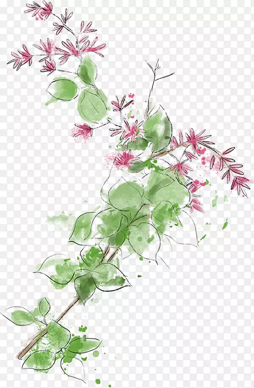 ������ƻ���-����-������