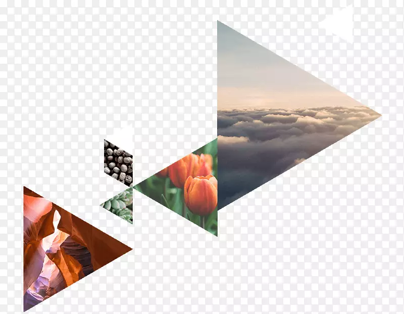 ����Ʒ��-������