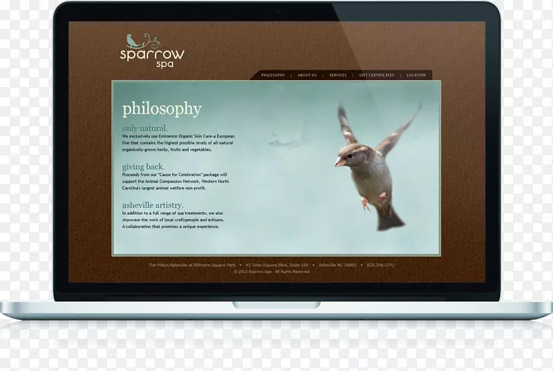 ��ý��Ʒ��-Ʒ��-������