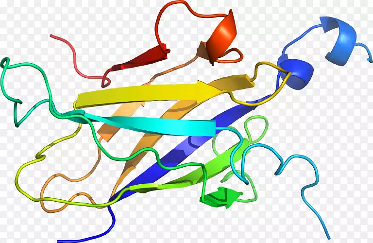 �ߵ������������-������