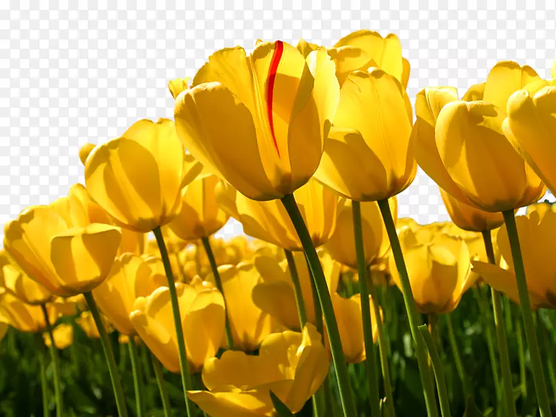 ��������ѧ��Ϊ������ѧѧԺ������-������-������