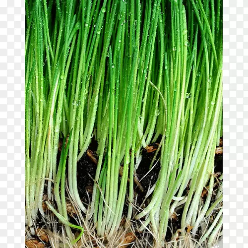 �����-1���������-�����-������