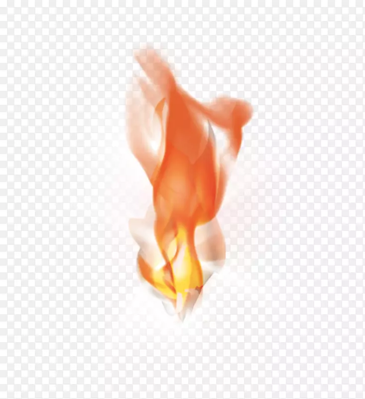 ��д��ָ-������