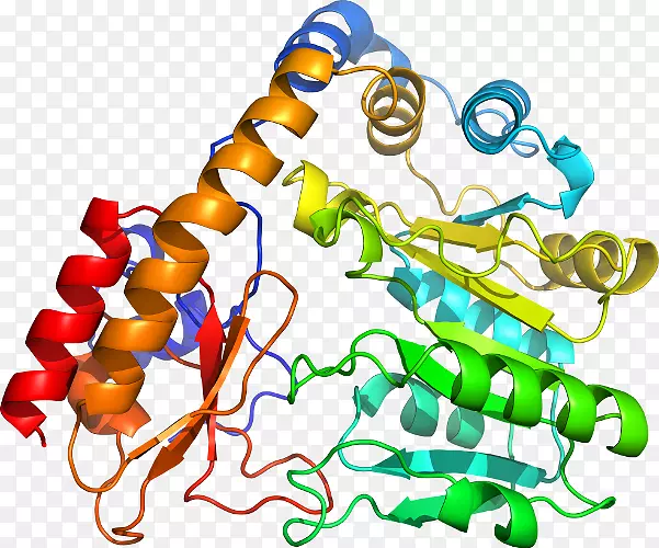 ���������л����߼�������-������