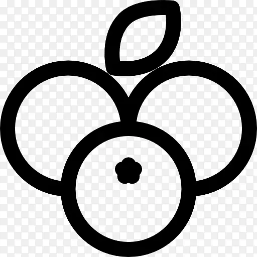 ��ݮ�ɵ���ͼ��ʳ�����������ݮ-������