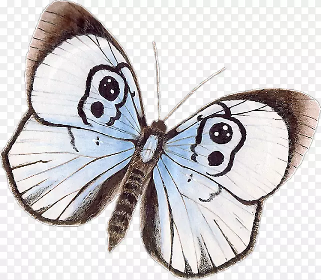 ë���׵�-������