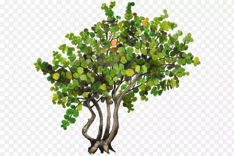 ��������������-������