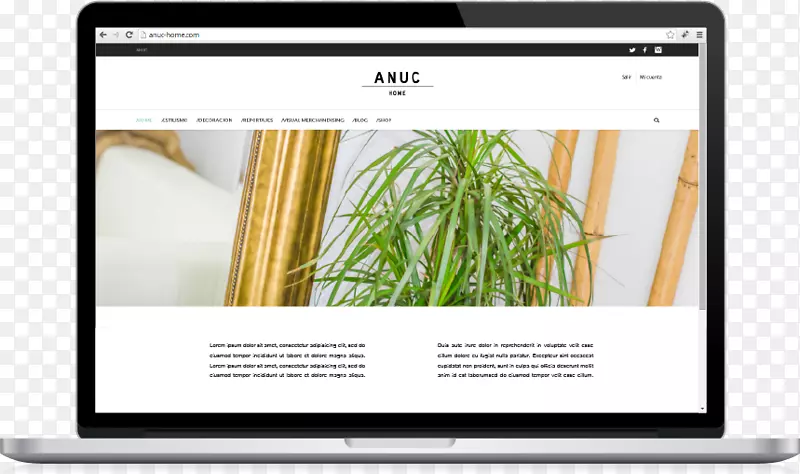 ��ý��Ʒ��-������