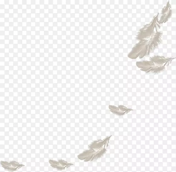 ��ë��ɫ��ͨ����ɫ��ë-������