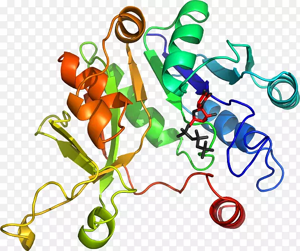 ���������л����߼�������-������