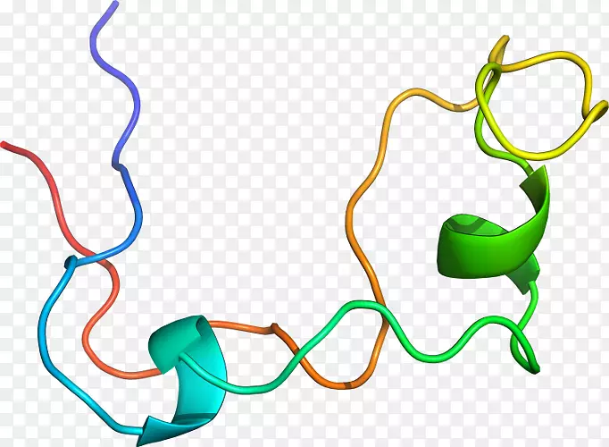 �ߵ������-��-������