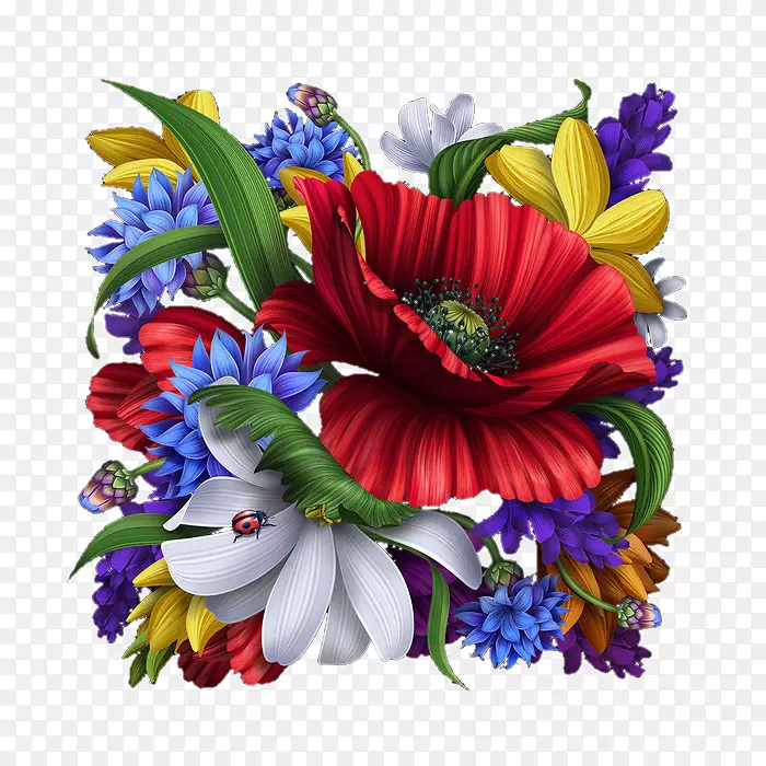 ���������Ӱ����õ��-������