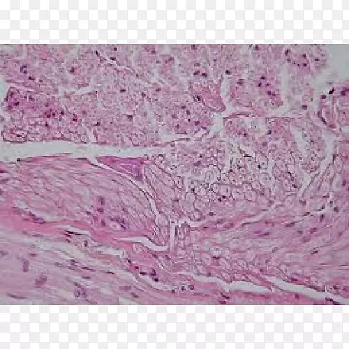 ����֯��Χ��ϵͳ-��-������