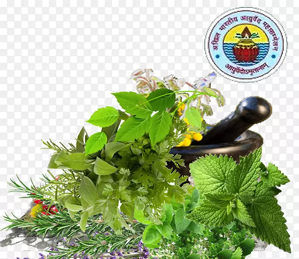 ��ҩѧ�����ȶ�Τ�����˹��Ƥ���������㣬������ʩ������-������