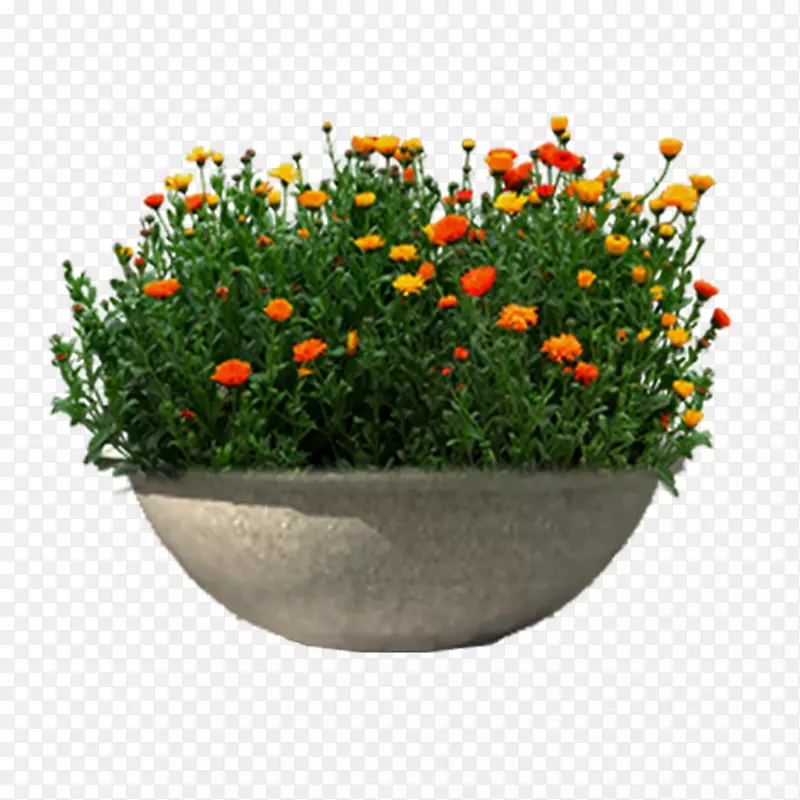 ����-��̳-������