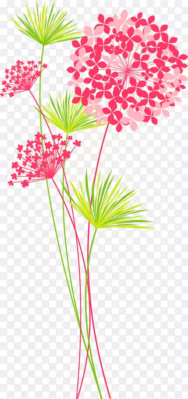 ��Ѽ�����.��-������