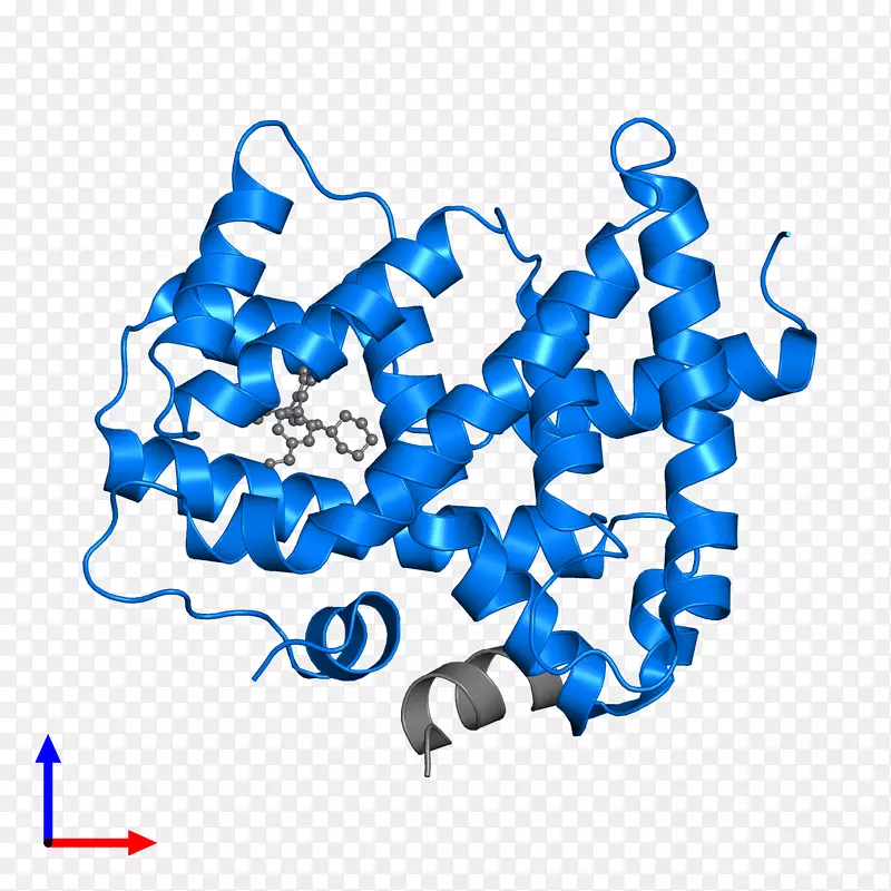 �ߵ㼼����������-������