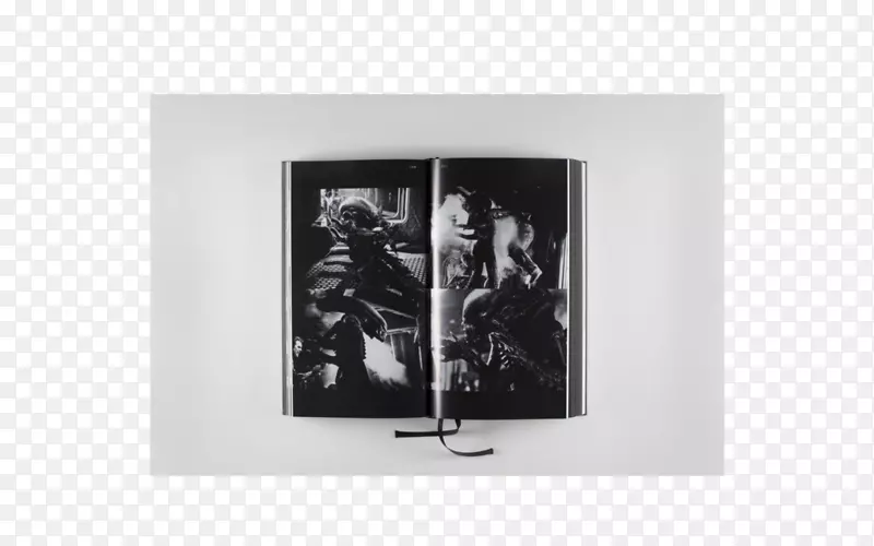 ����ɫ����-������