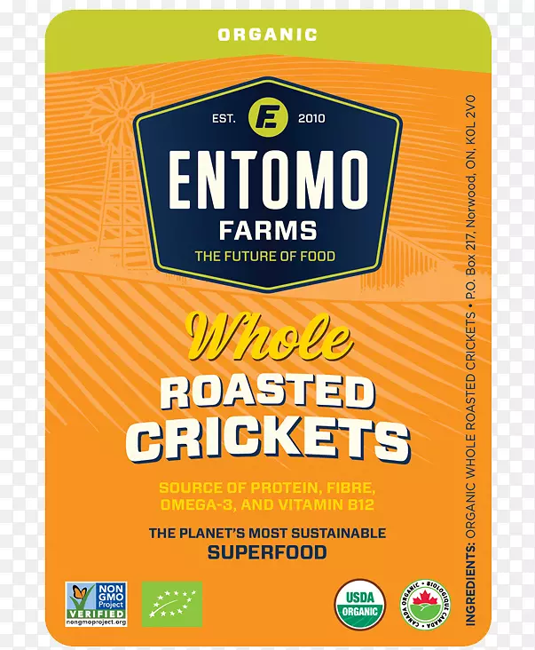 �������ʳ������-������