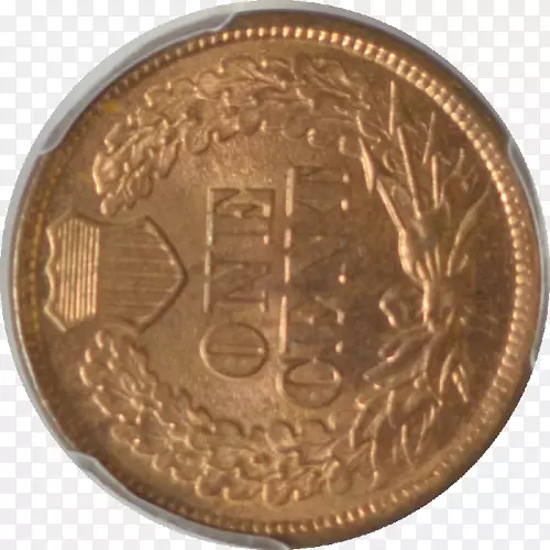 ���Ҳ�������ƿ��ɫ����Ӳ��-������