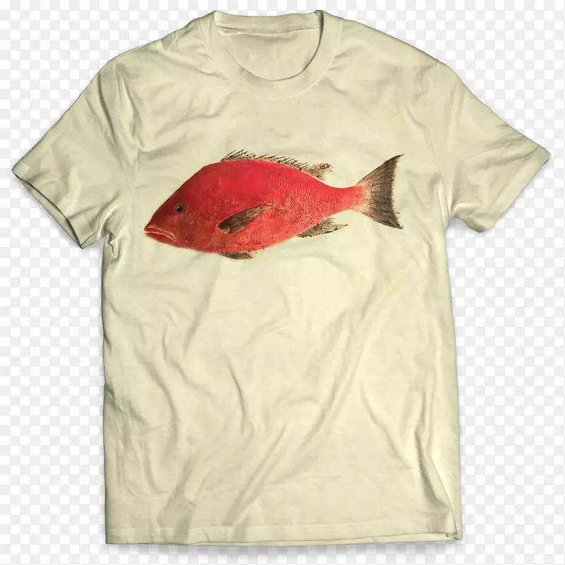 t�������侲�������г���-t����-������