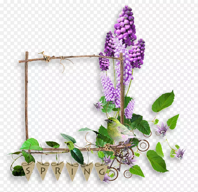 ����ֲ��ľ��-������