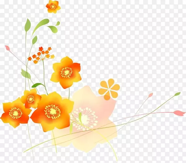 ������ƻ���.��-������