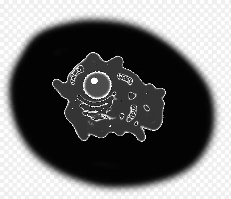 ��ɫ�������-������