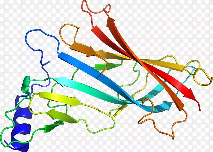 �ߵ������������-������