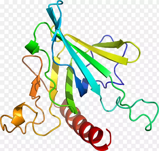 ֱ�ߵ�ֲ�ﾥ��������-������