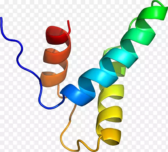 ���������л����߼�������-������