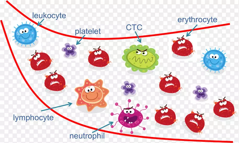 ѭ������ϸ������ϸ������������������-Ѫ����-������