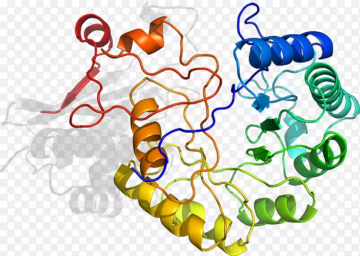 �ߵ������-��-������