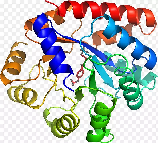 ���������л����߼�������-������