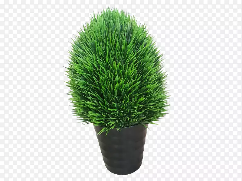 ����ݼ�ֲͥ����������-������