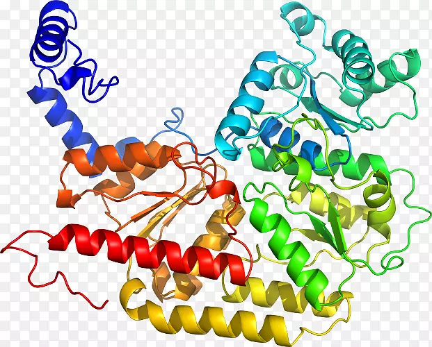 ���������л����߼�������-������