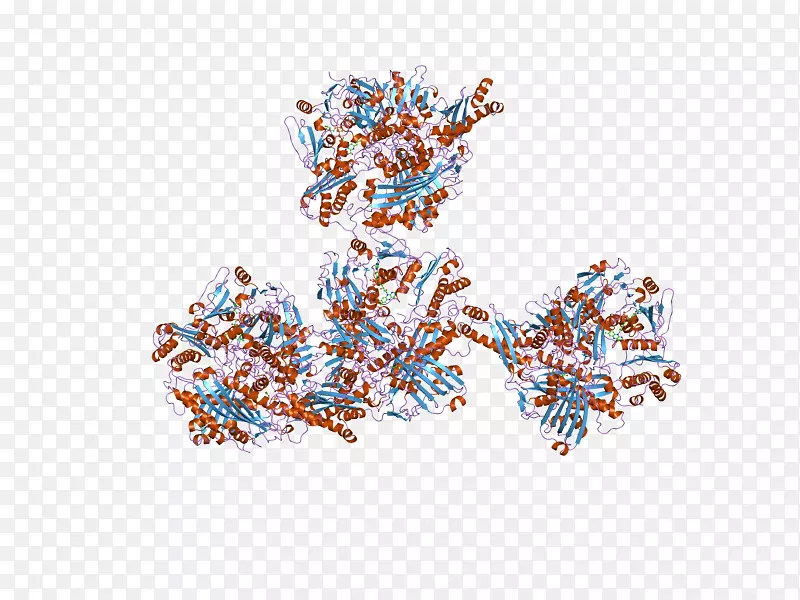 �����鱦������-�鱦-������