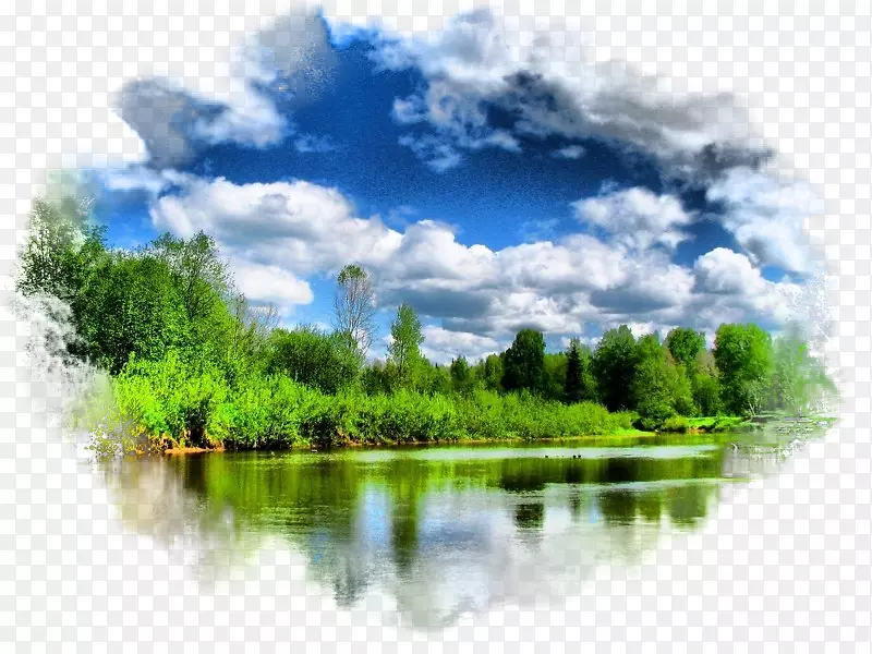 ������Ӱ���Զ��������ֽ-��-������