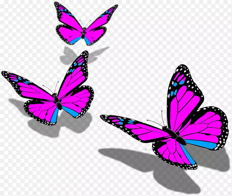 �������������������ܶ�-������