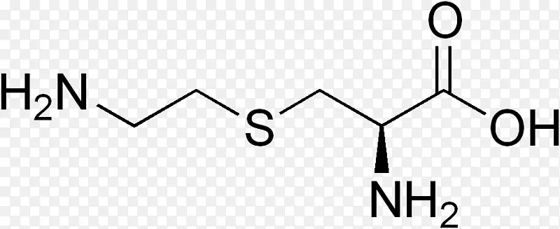 ���������ᰱ����ṹ-������