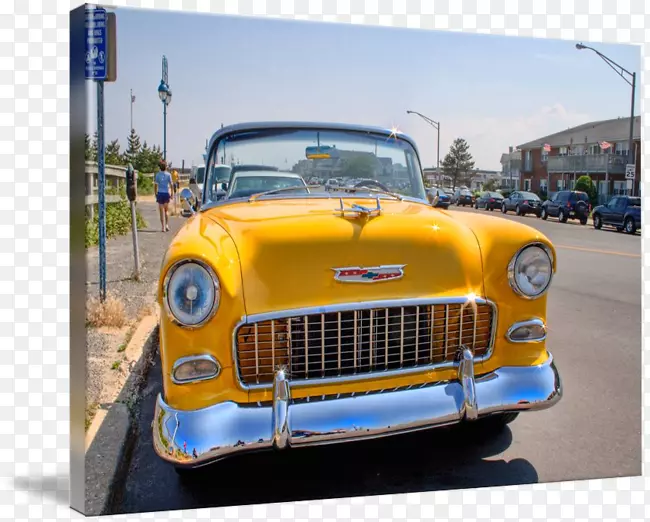 �Ŷ���ѩ�������������Ŷ���-������