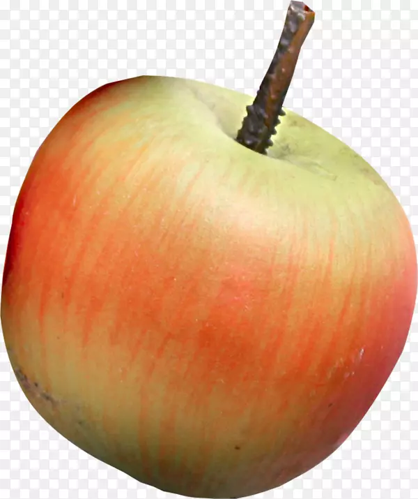 ���Ĳ���calabazaƻ����«-����-������