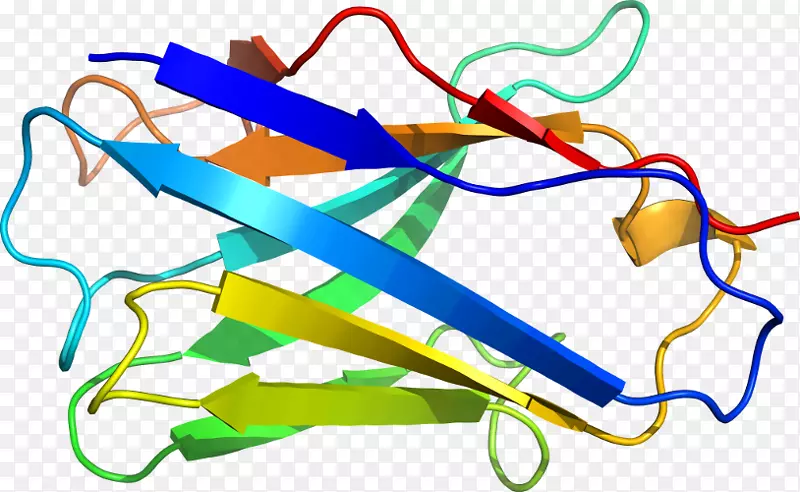 �ߵ������-��-������