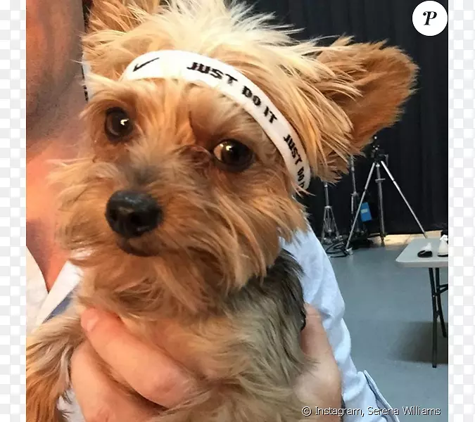 Լ�˿���Ȯ���Ĵ�����˿ë��Ȯ���Ĵ�������Ȯ��ŵ������Ȯ��ŵά����Ȯ-ɪ����ά����ķ-������