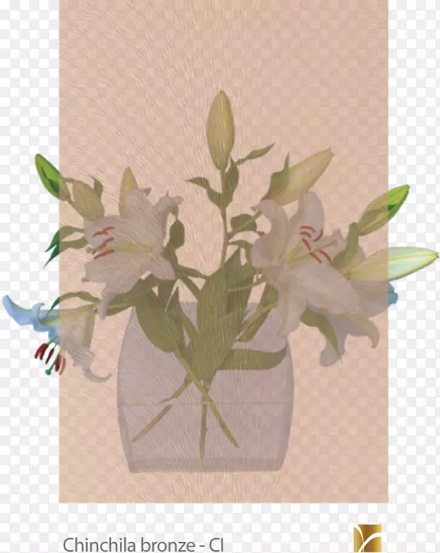 ����ֲ�ﾥ���-������